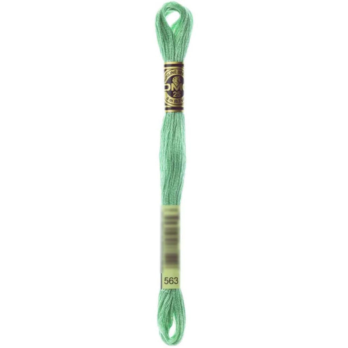Dmc Floss Light Jade Jade 