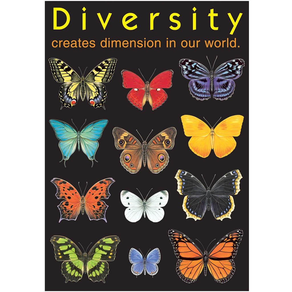 Diversity creates dimension. Poster