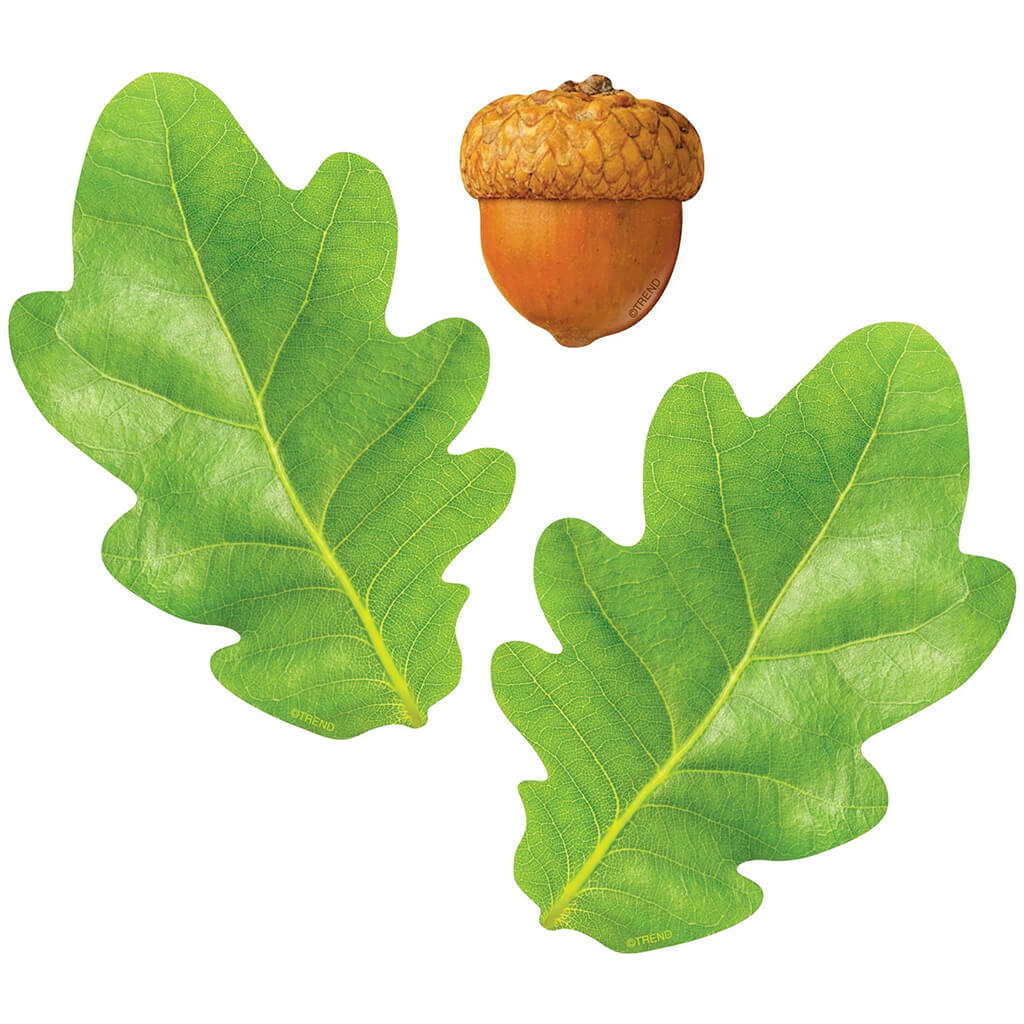 Oak Leaves &amp; Acorns Classic Accents