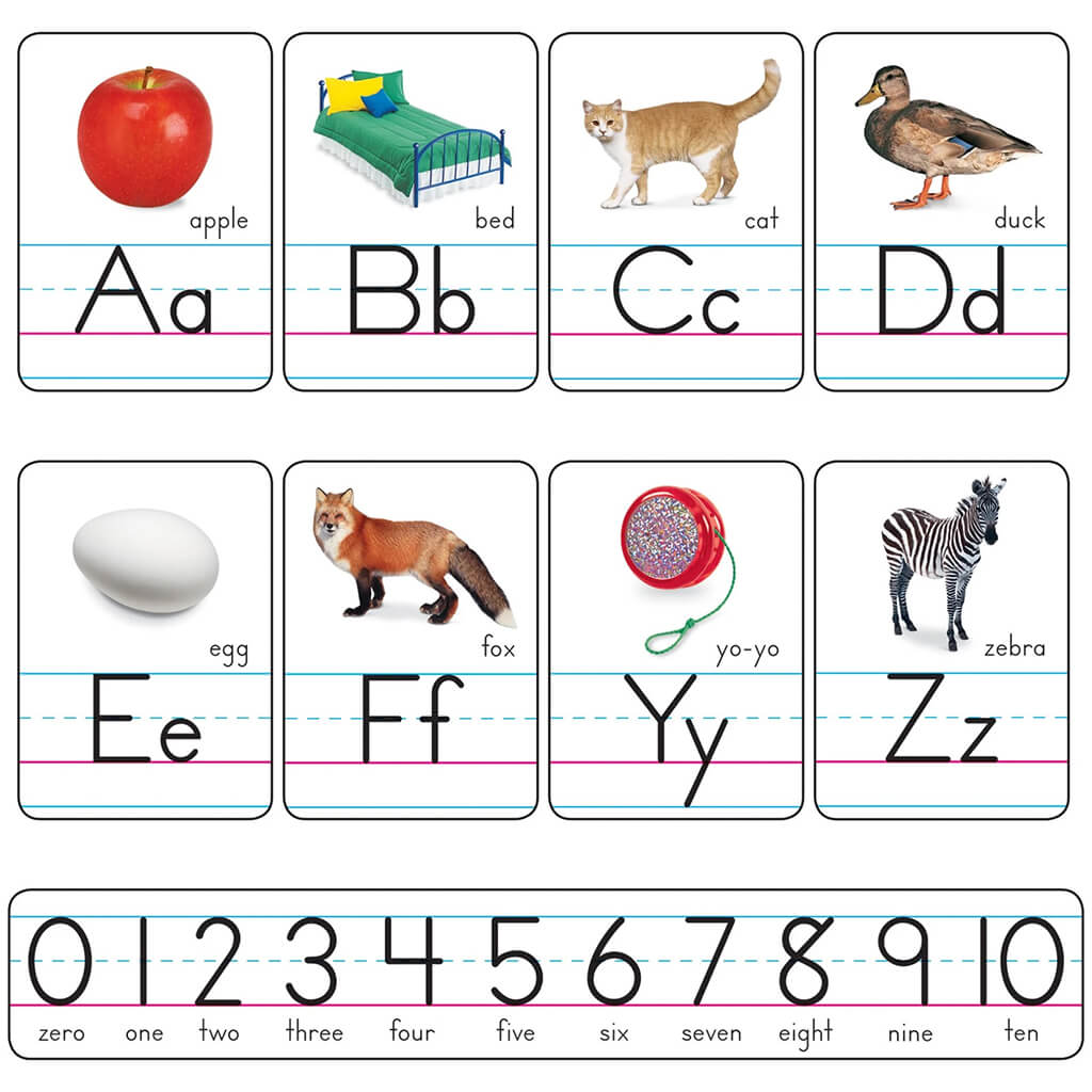 Photo Alphabet Cards Zaner-Bloser Manuscript Bulletin Board Set