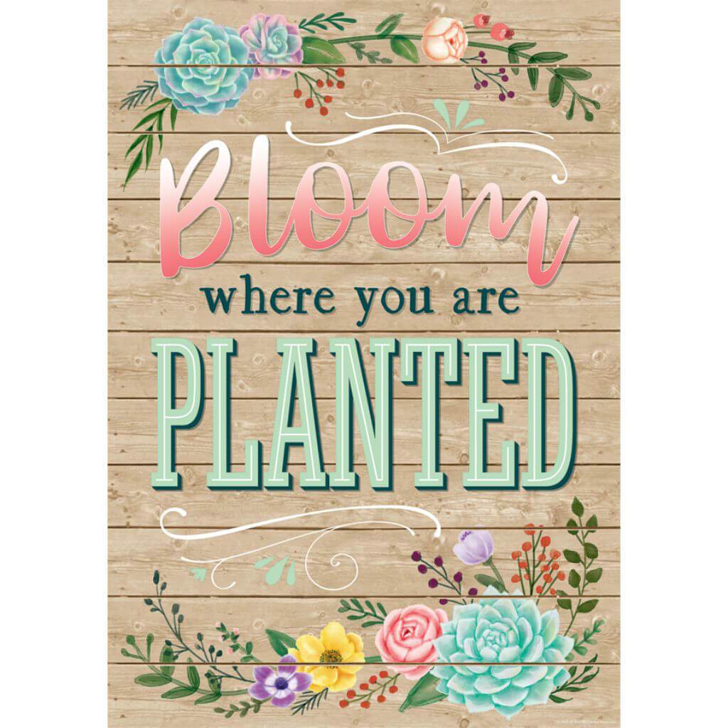 Bloom Where You Are Planted Positive Poster
