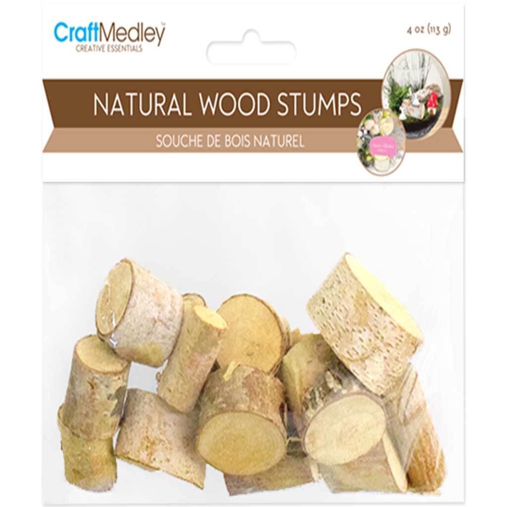 Mini Natural Birch Wood Stumps 4oz