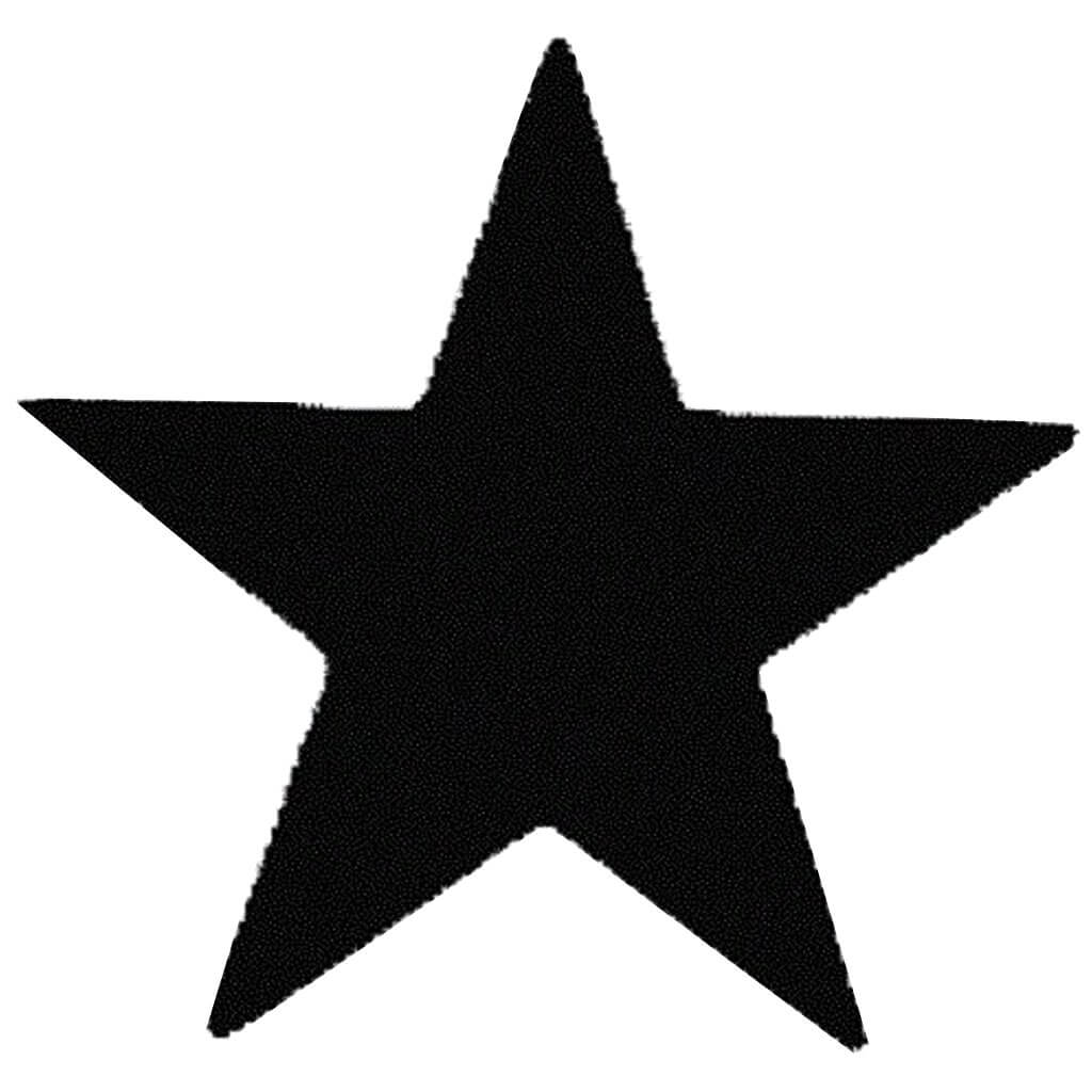 Jumbo Teacher Star Stamp