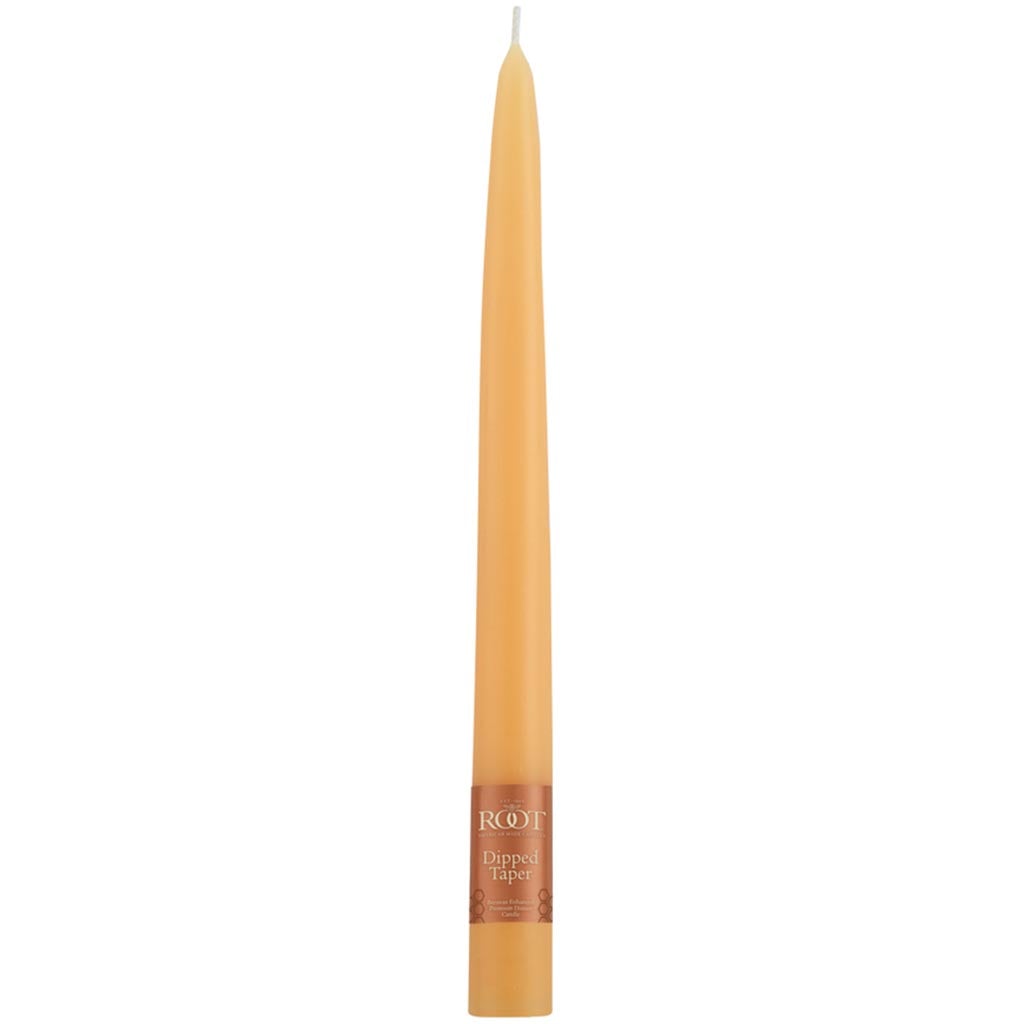 Tapers Candle Mandarin, 9in