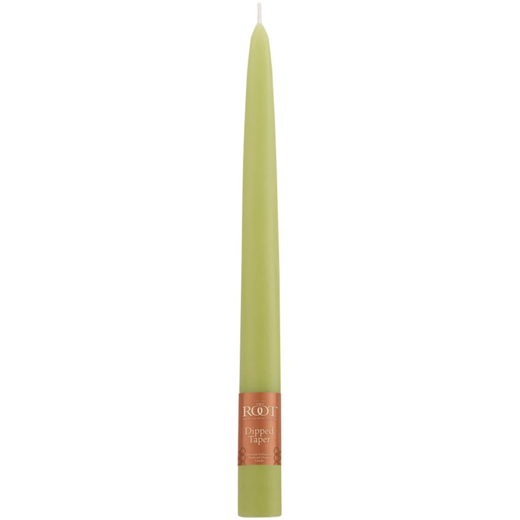 Tapers Candle Willow, 9in