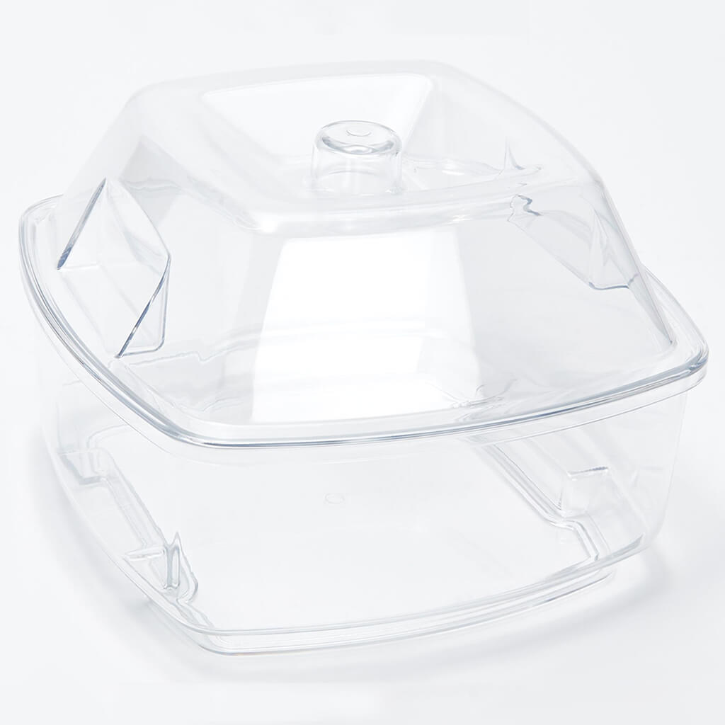 Flip Salad On Ice Bowl With Lid Set