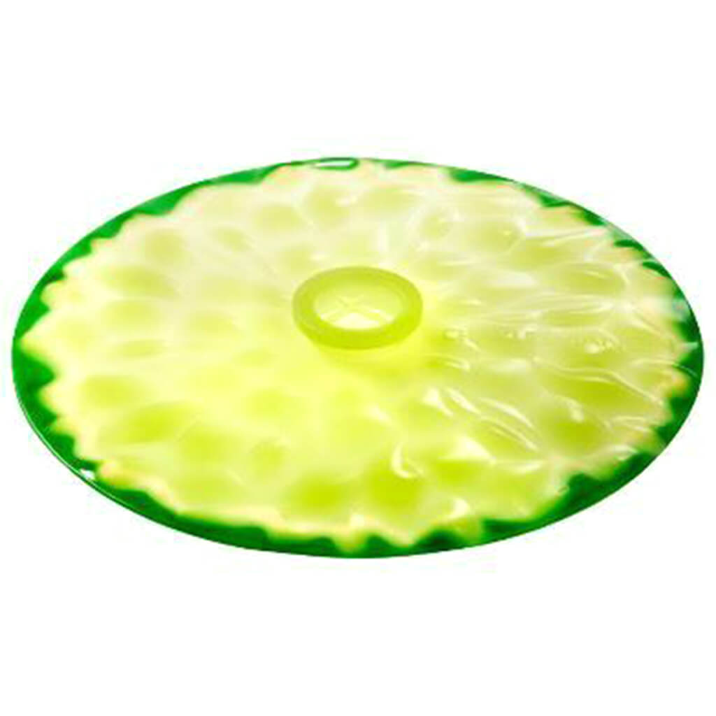 Lime Lid, 6in