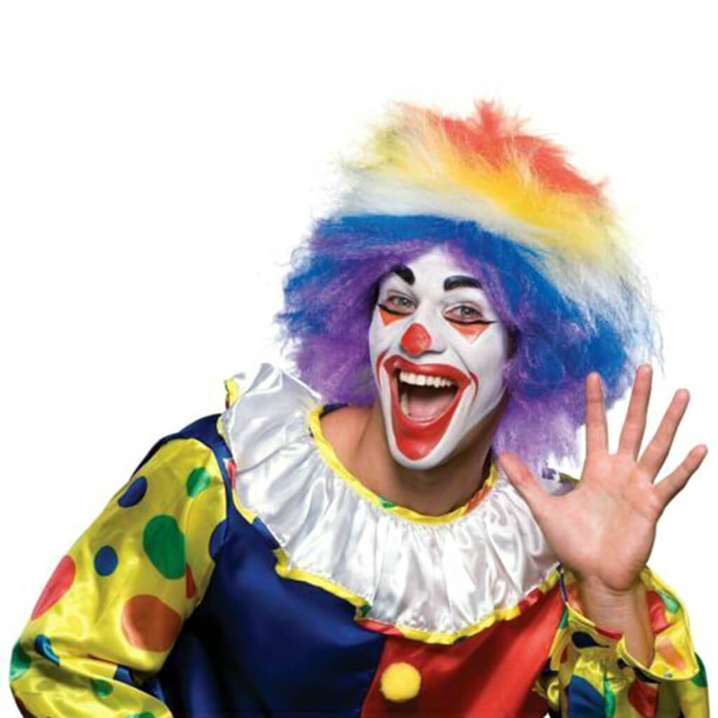 Clown Around Wig