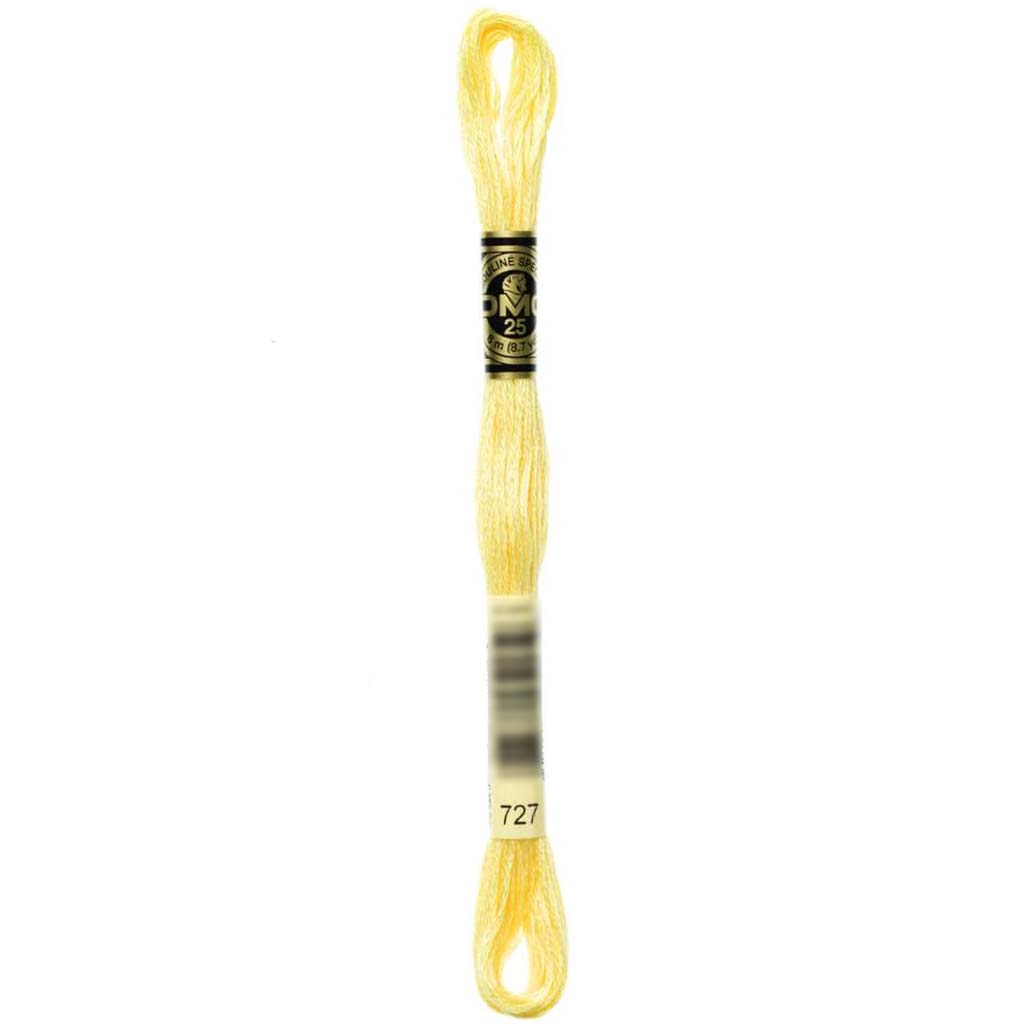 Dmc Floss Very Light Topaz Topaz 