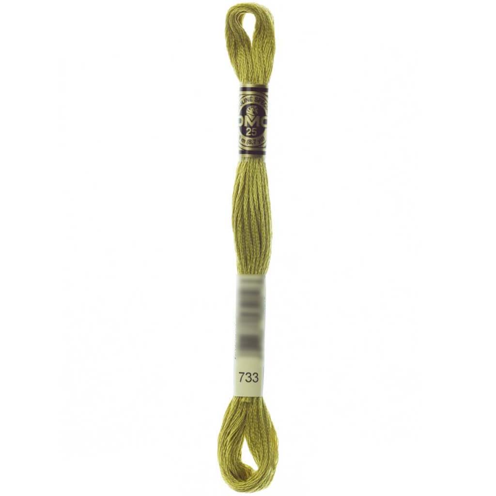 Dmc Floss Medium Olive Green Green 