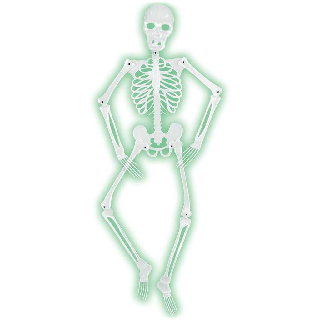 Mr Bones-A-Glo Skeleton 5ft