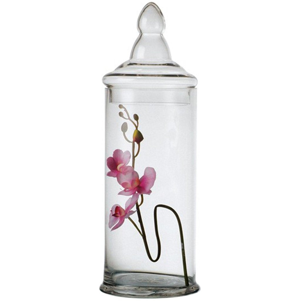 Clear Jar with Lid H:19in D:6in