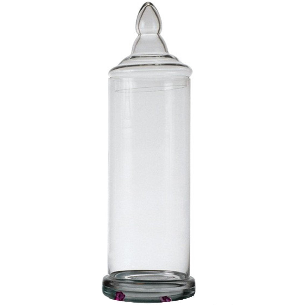 Clear Jar with Lid H:21in D:6in