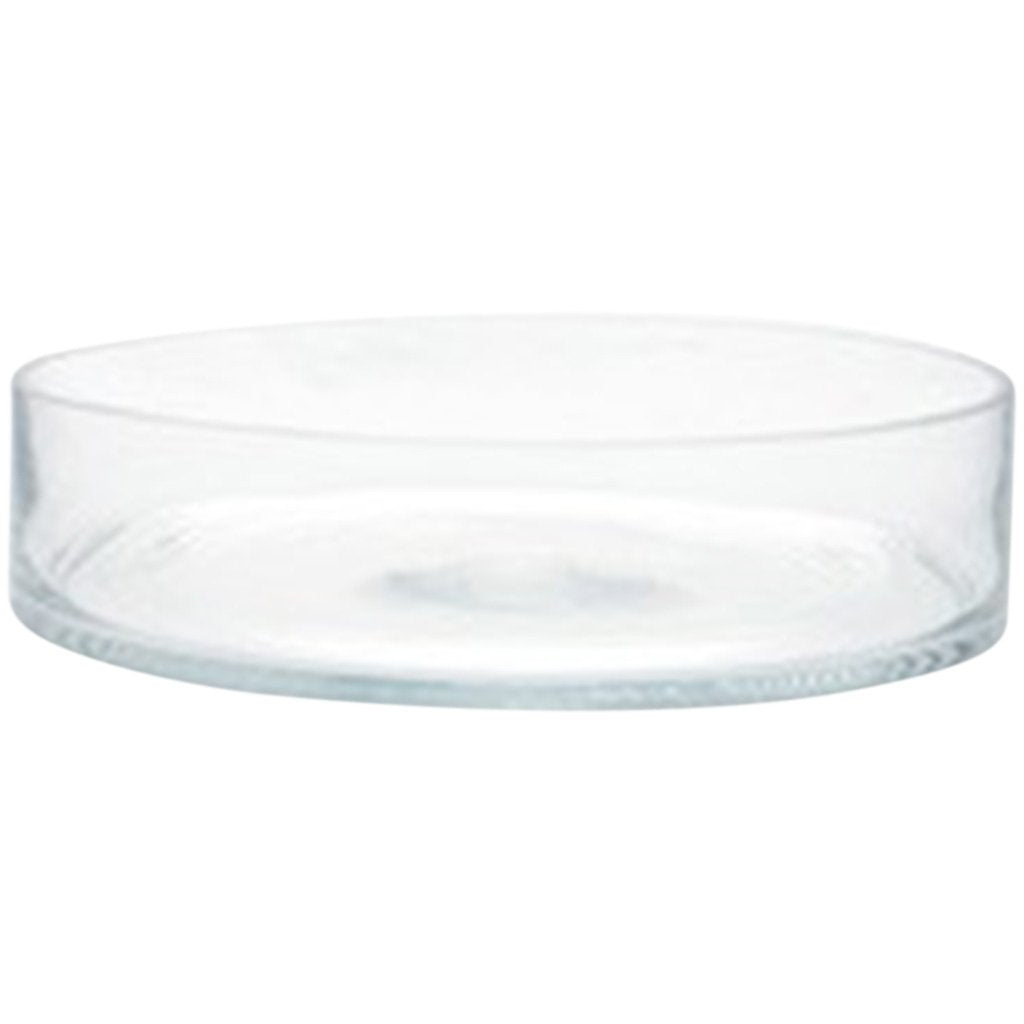 Clear Glass Accessory H:3in D:12in