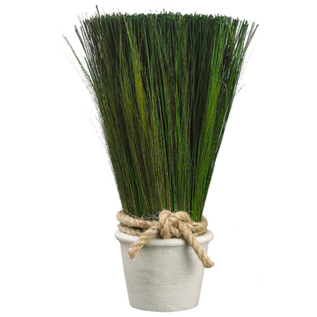 Preserved Grass in Terra Cotta Pot Green 16.9in