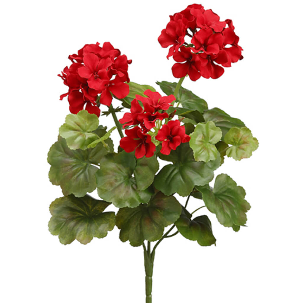 Water-Resistant Geranium Bush x5 Red 17in