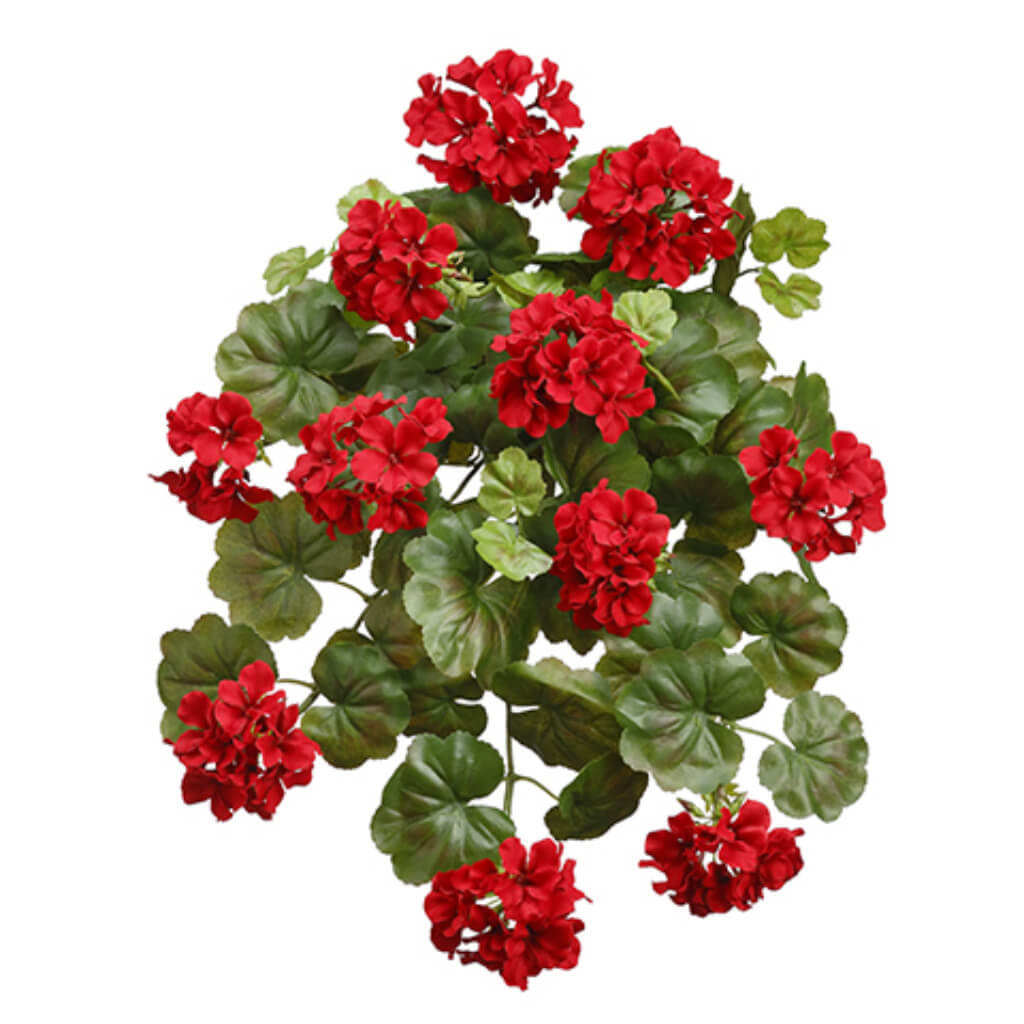 Water-Resistant Geranium Bush x10 Red 21in