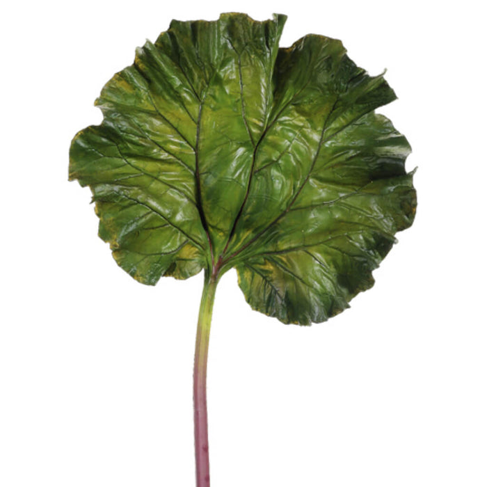 Rhubarb Large Leaf Spray 40in, Green