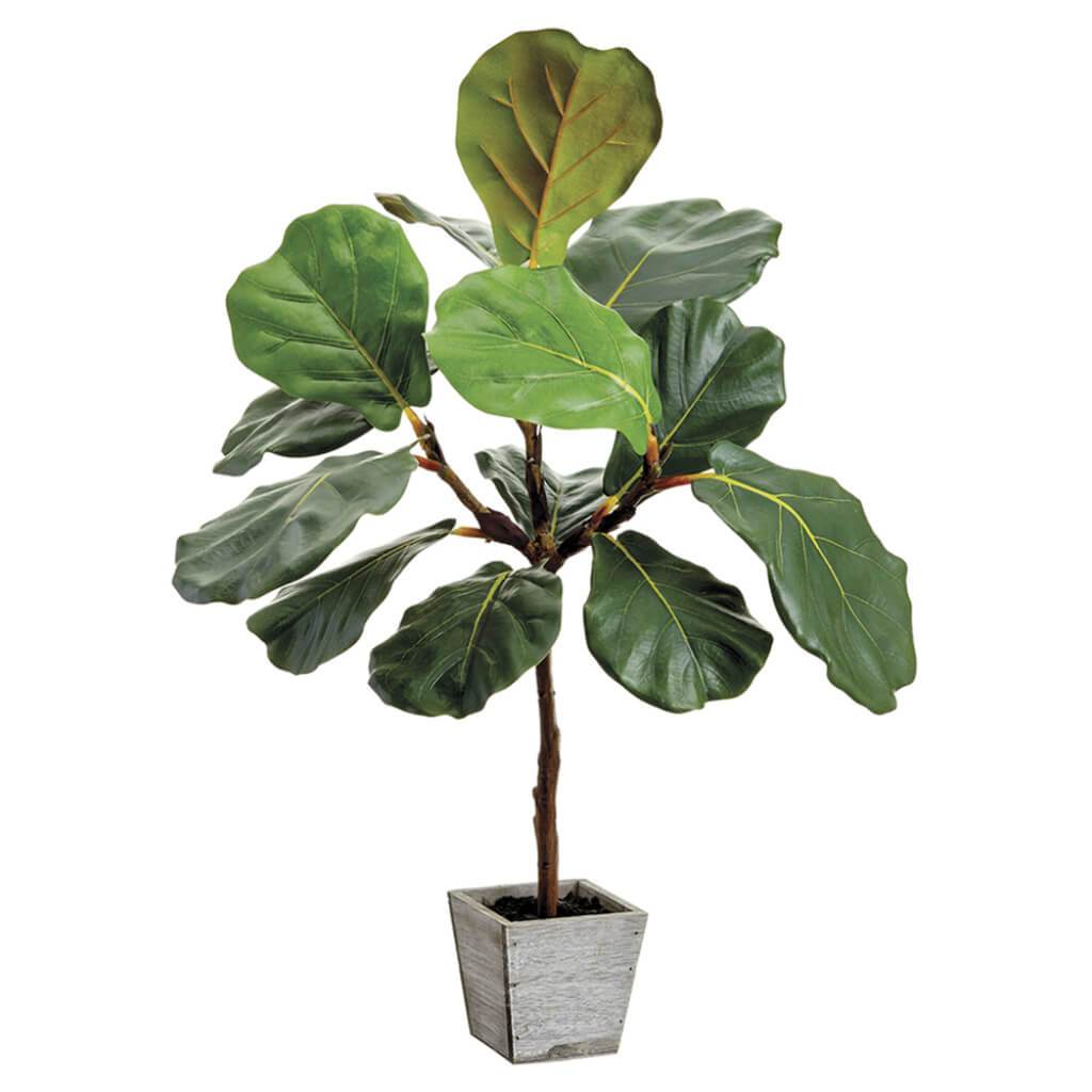 Fiddle Leaf Tree in Wood Planter Green 23in