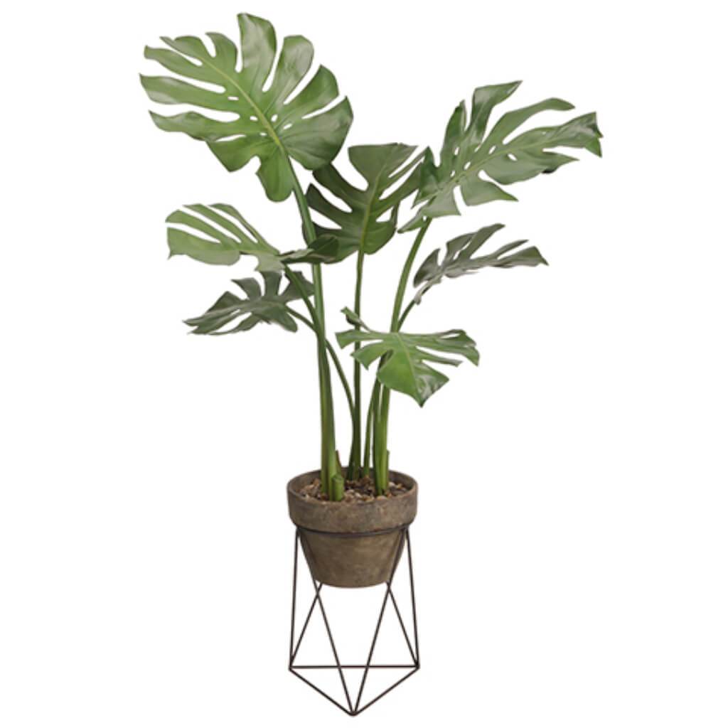 Monstera Leaf Plant in Terra Cotta Pot with Stand Green 43in