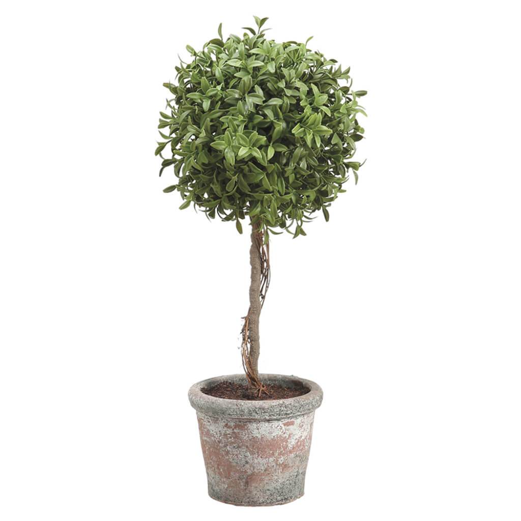 Tea Leaf Ball Topiary in Terra Cotta Green 18in