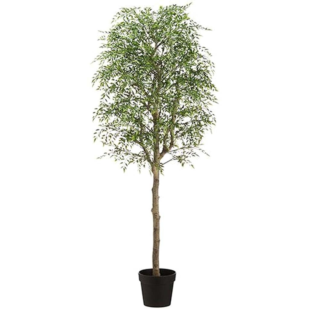 Wisteria Tree in Plastic Planter Green 60in