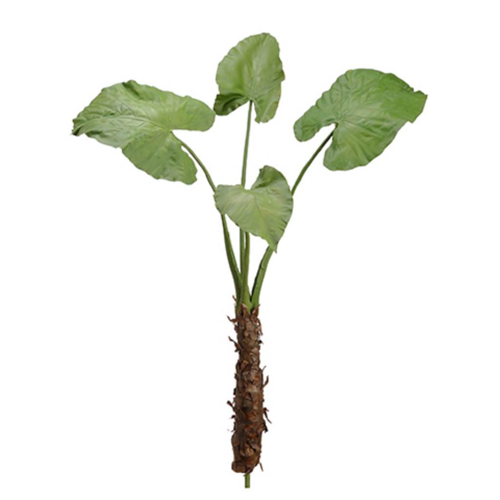 Elephant Leaf Plant x4 Green 55in