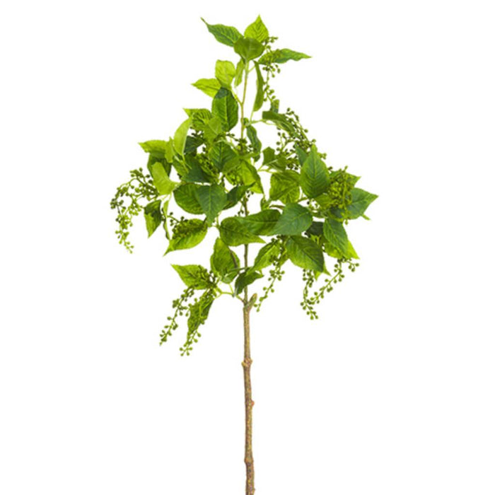 Amaranthus Bud Spray 27in, Green