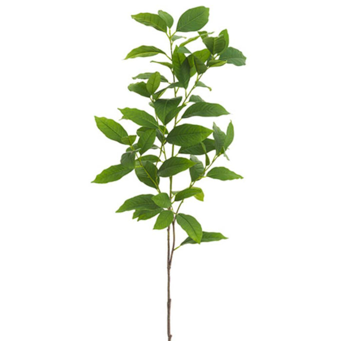 Magnolia Leaf Spray 50in, Green