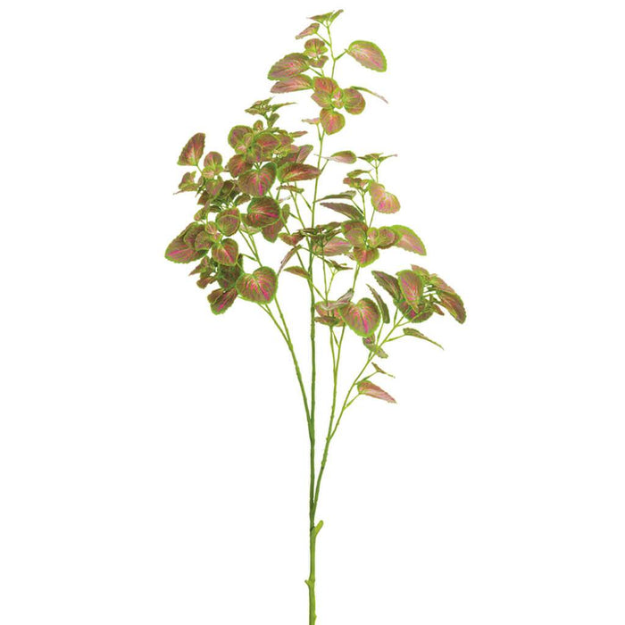 Mint Leaf Spray 42in, Green Beauty