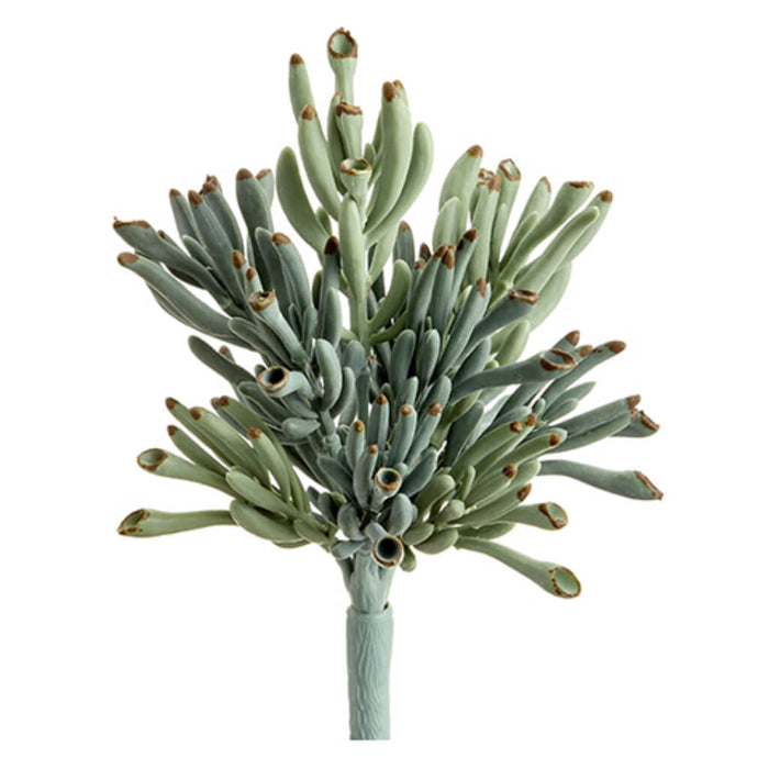 Coral Succulent Pick Green Gray 9in