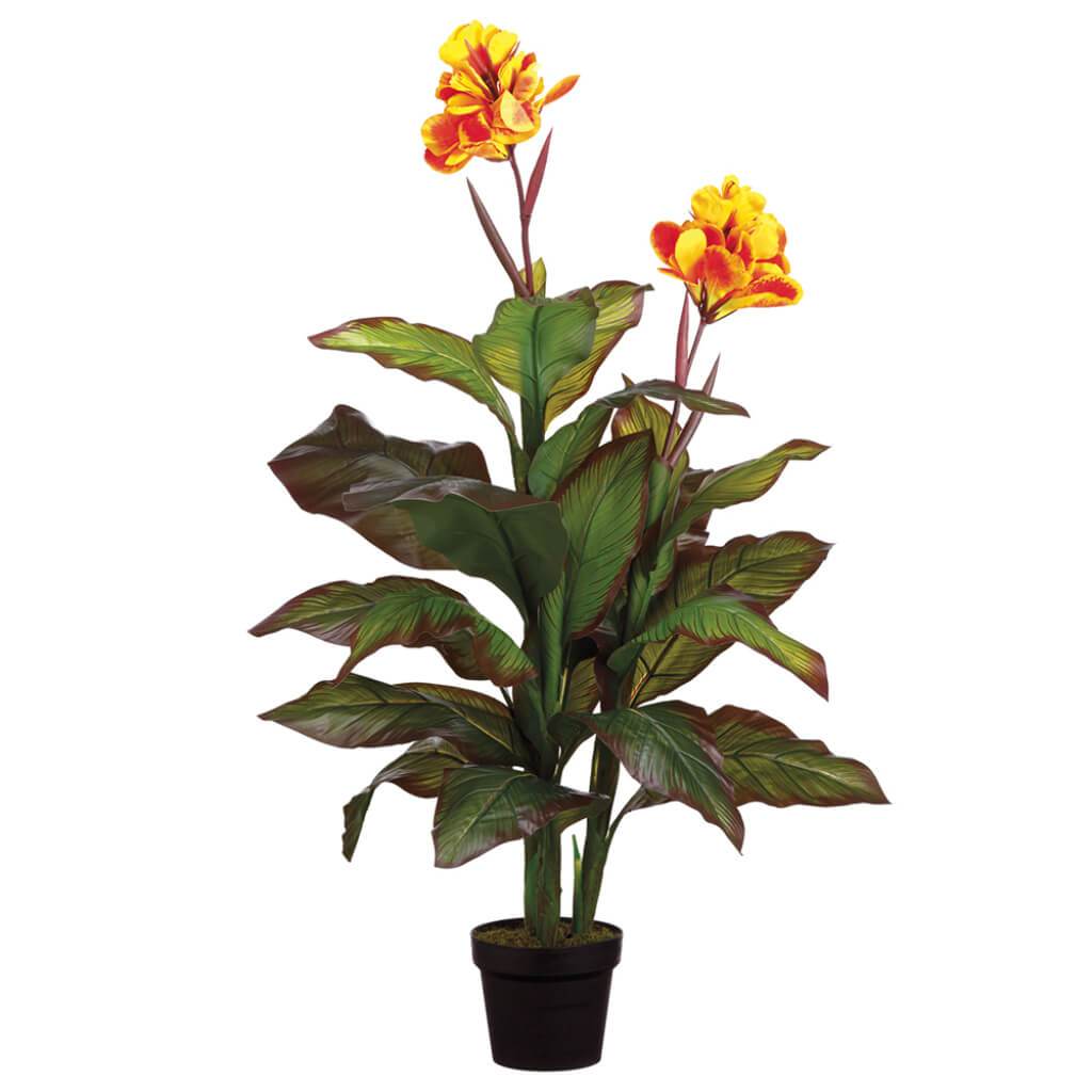 Canna Plant in Pot  Yellow Red 48in