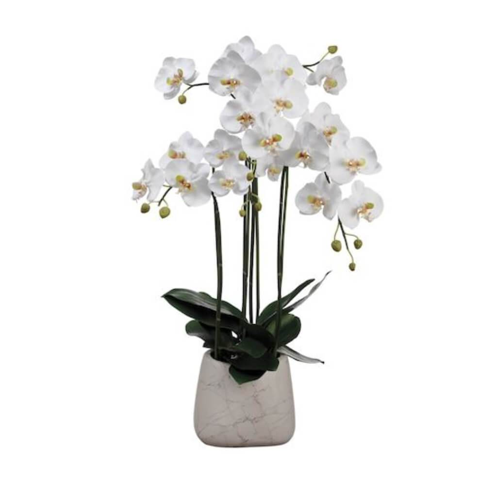 Phalaenopsis Orchid Plant in Marble Look Pot White 35in