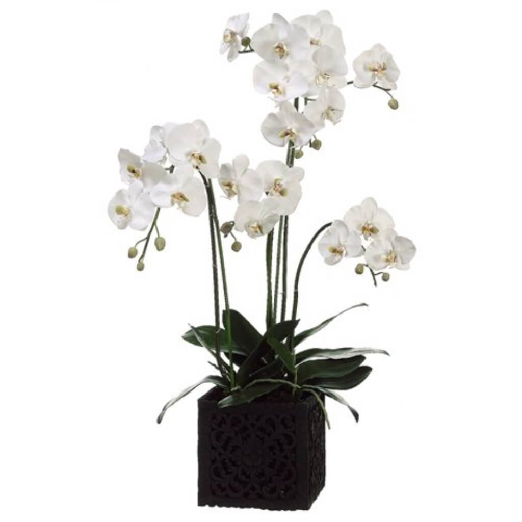 Phalaenopsis Orchid Plant in Polyresin Container White Green 37in