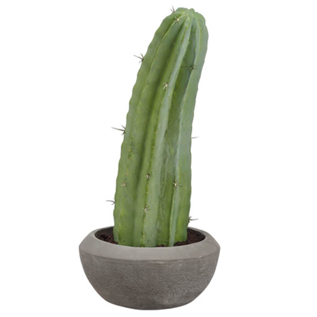 Column Cactus in Cement Pot Green 19in