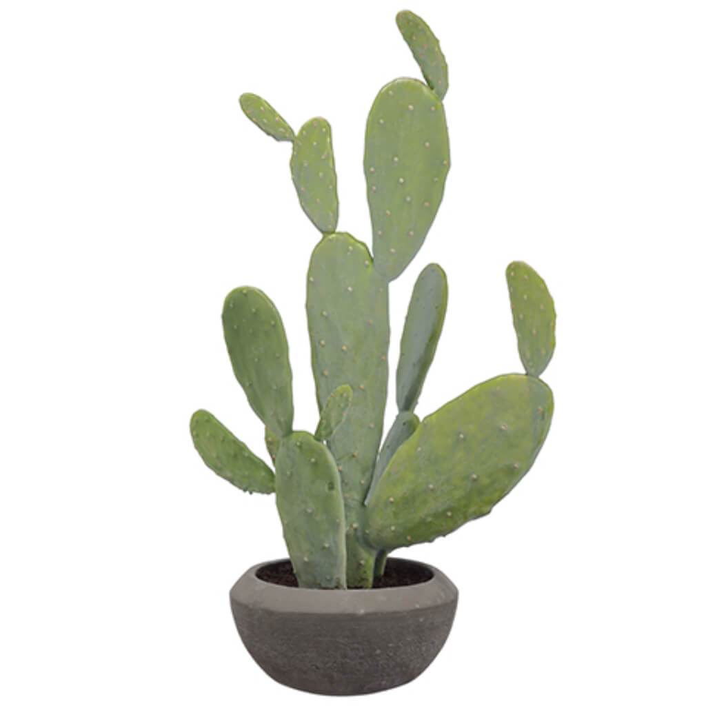 Pear Cactus in Cement Pot Green 26in