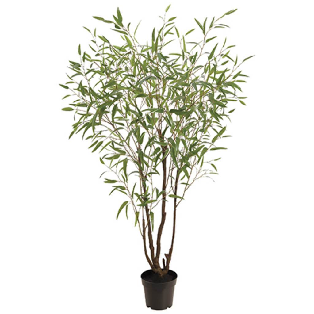Eucalyptus Tree in Plastic Pot Green, 90in