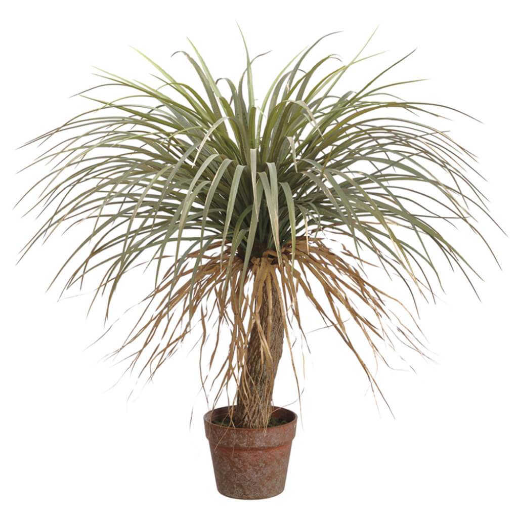 Desert Palm Tree in Plastic Pot Green Beige 31in