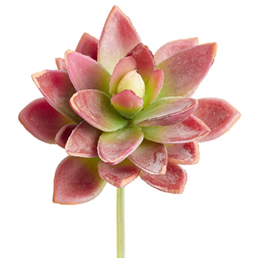 Soft Touch Mini Agave Pick Red Green 5in