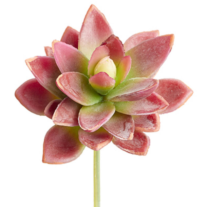 Soft Touch Mini Agave Pick Red Green 5in