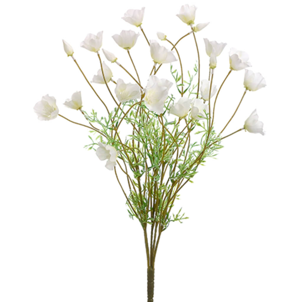 California Poppy Bush x5 Cream White 22in