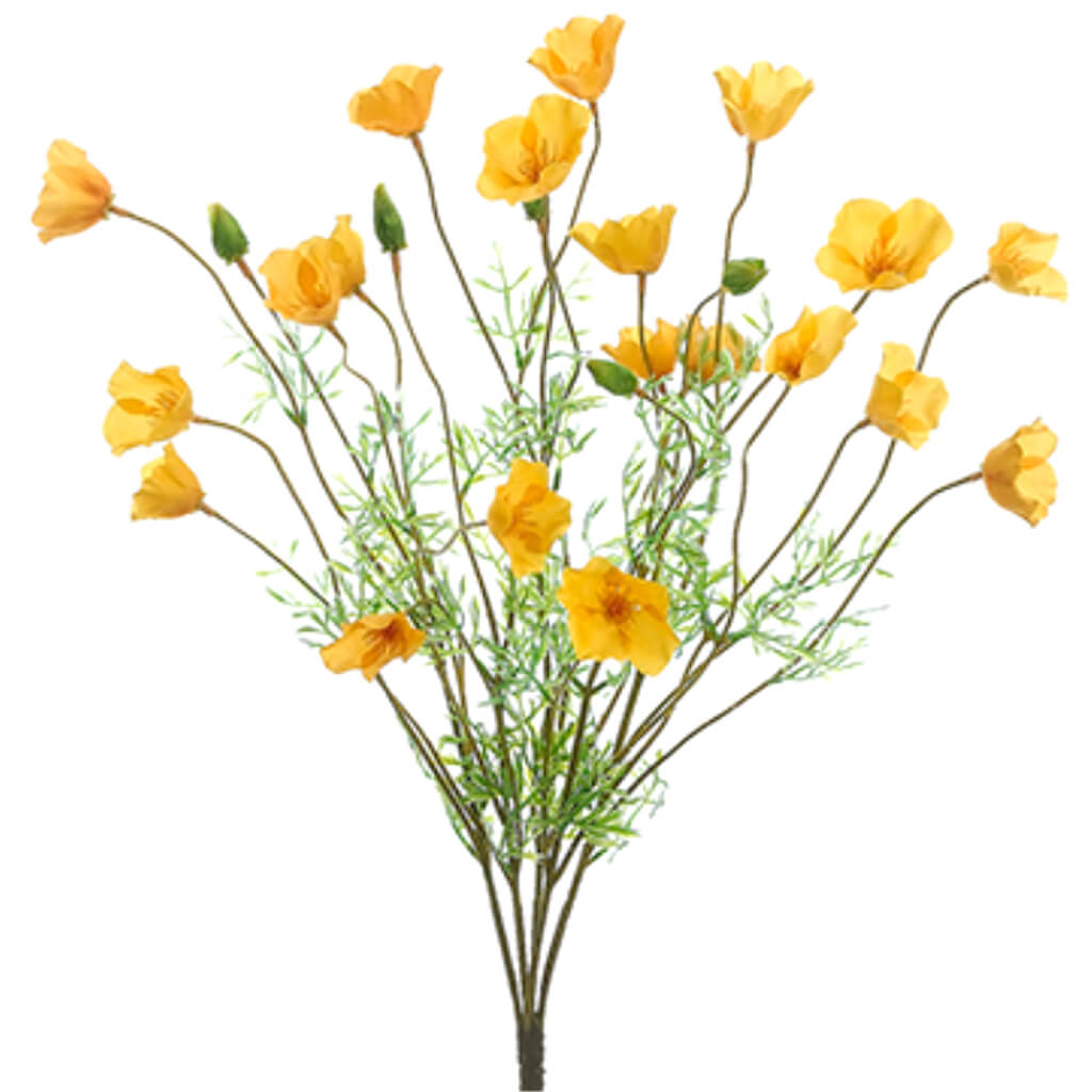 California Poppy Bush x5 Two Tone Yellow 22in