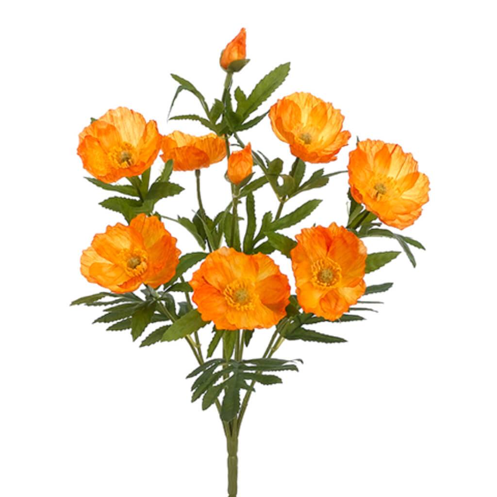 Poppy Bush Orange 14in