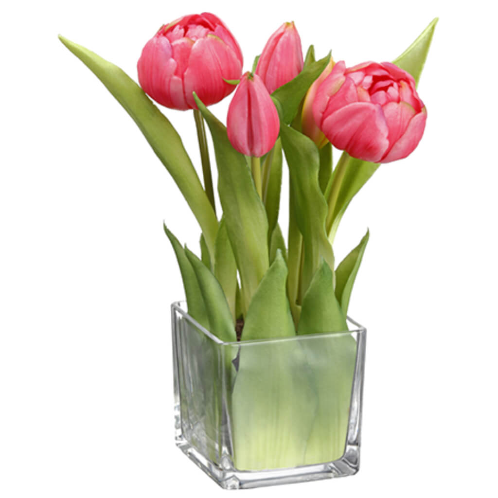 Tulip in Glass Vase Teaberry 9in