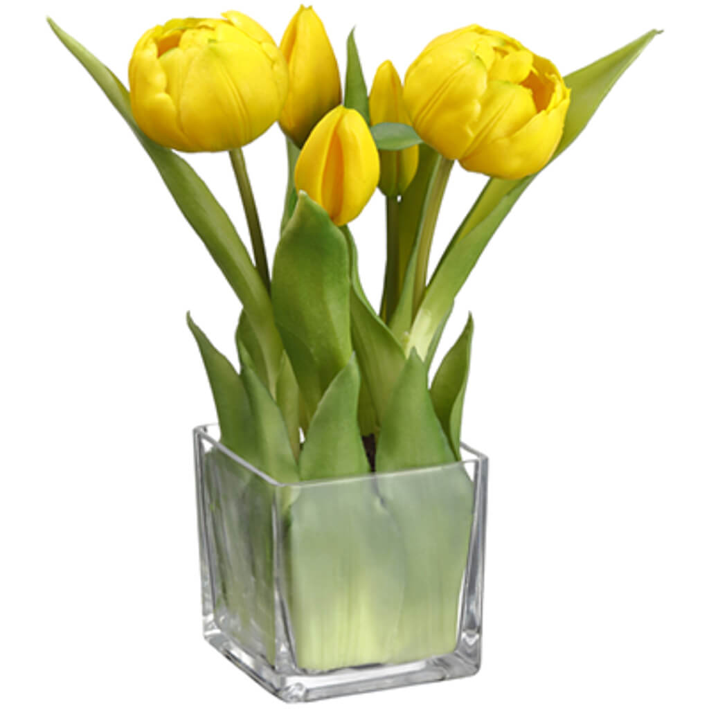 Tulip in Glass Vase Yellow, 9in