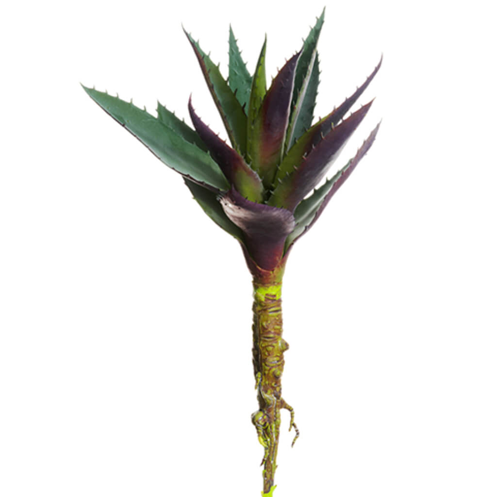 Soft PE Agave Pick Green Purple 13in