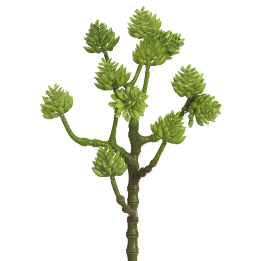 Soft Touch Sedum Spray 12in Green