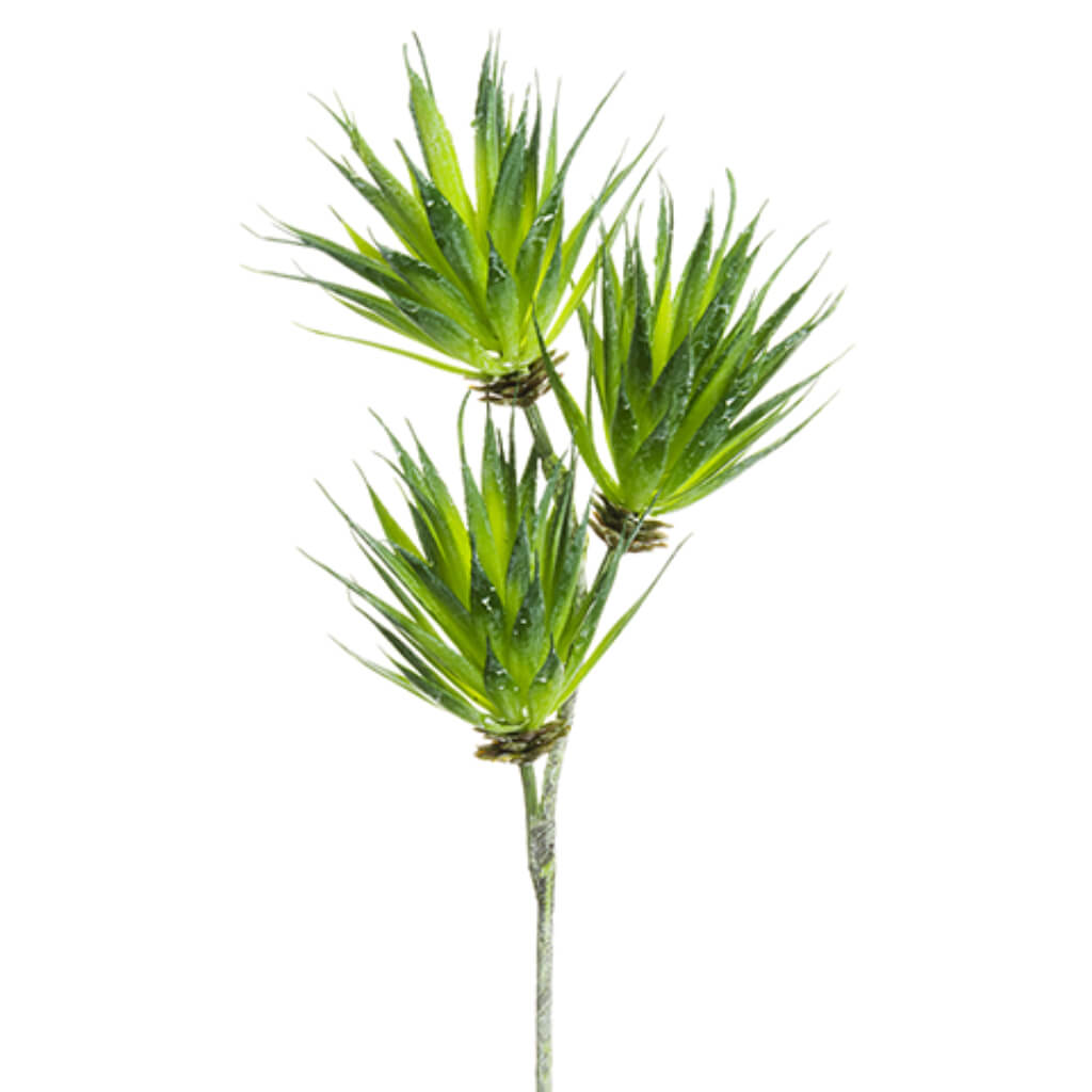 Tillandsia Spray Green 15in