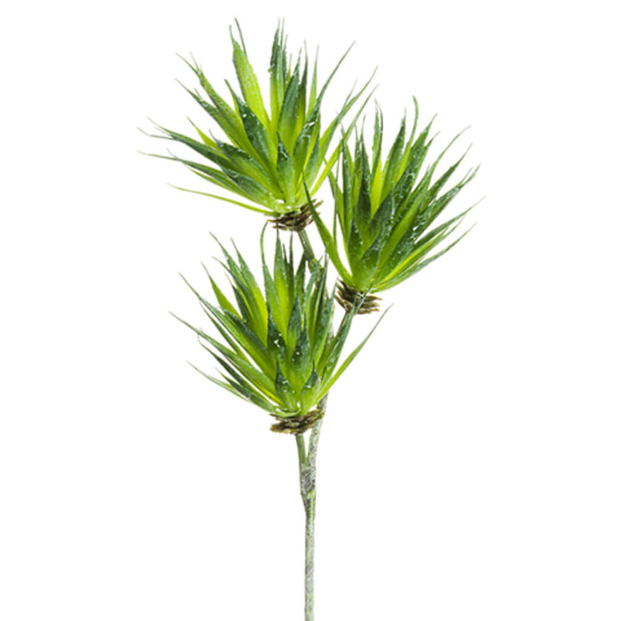 Tillandsia Spray 15in, Green