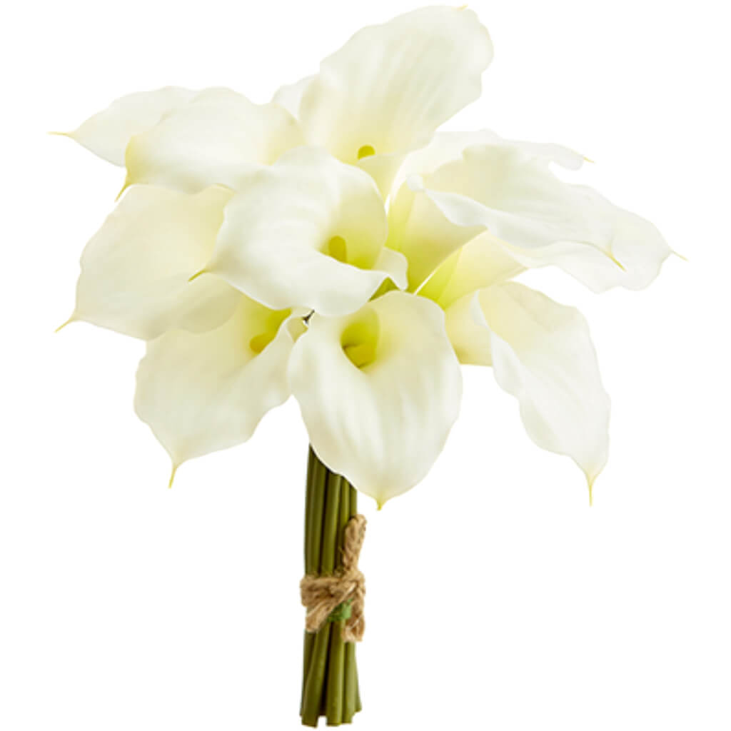 Calla Lily Bundle x12 White 11in